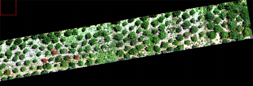 图片关键词 图片关键词