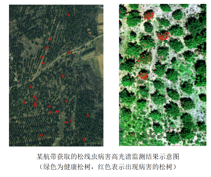 图片关键词 图片关键词