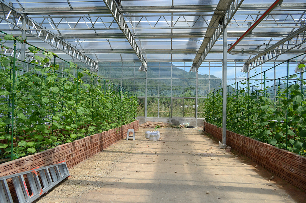 大数据精准农业云链