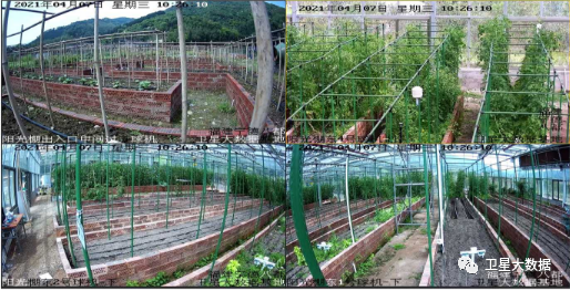 图片关键词 图片关键词