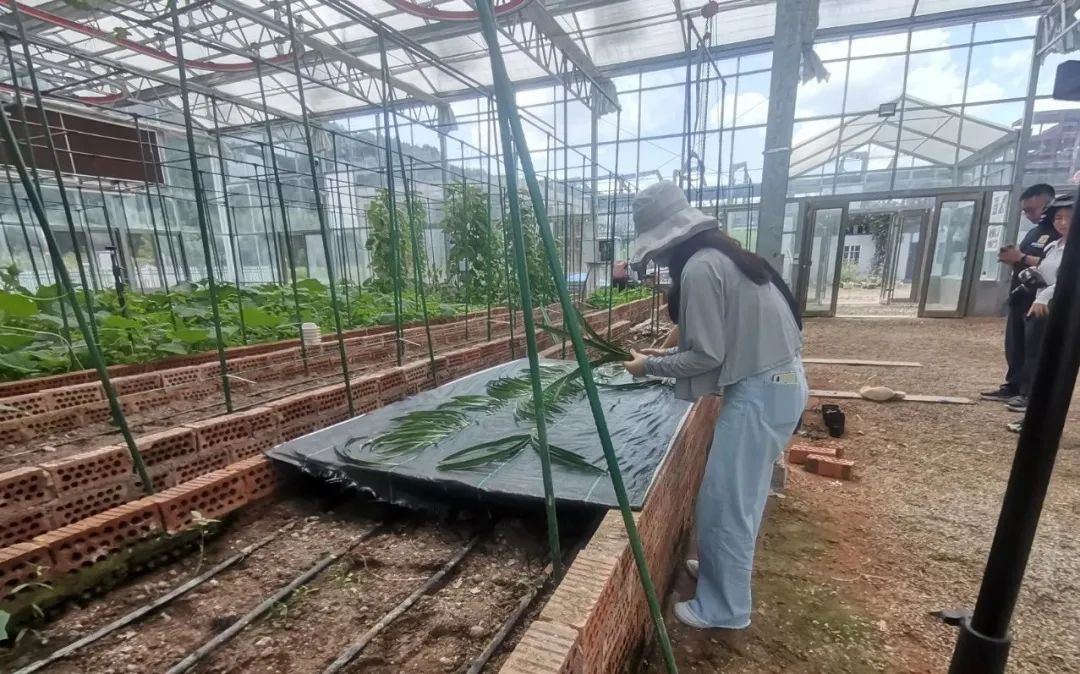 图片关键词 图片关键词