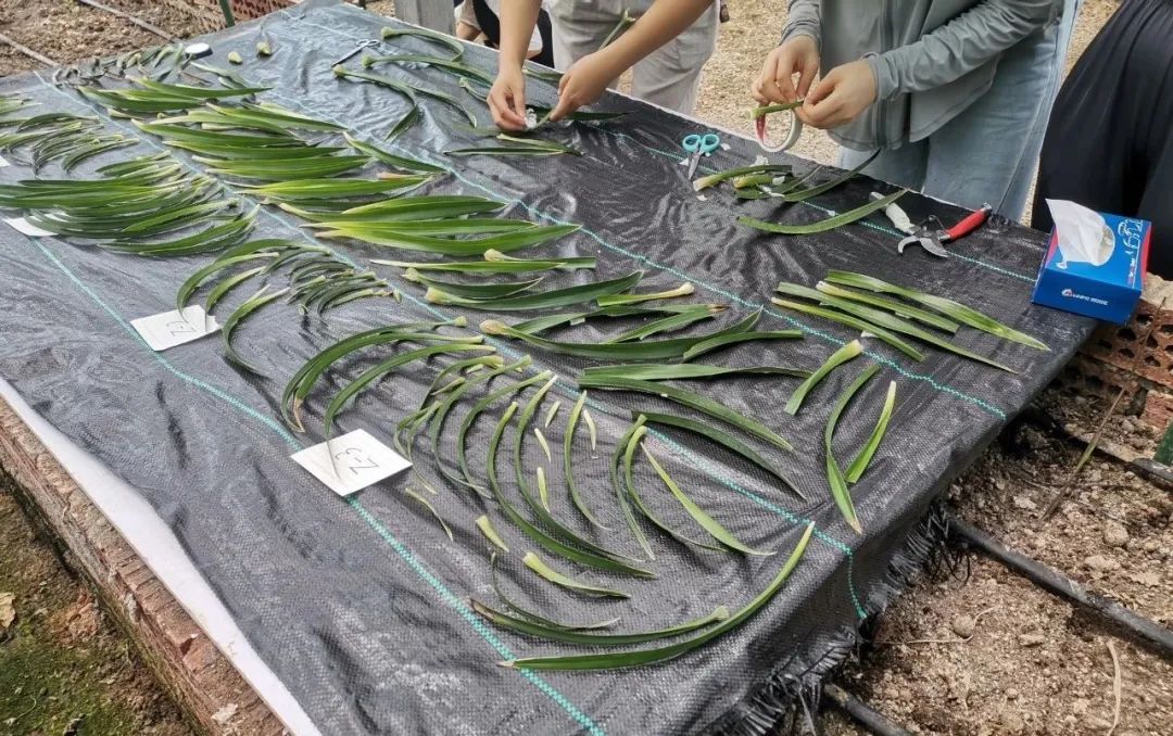 图片关键词 图片关键词